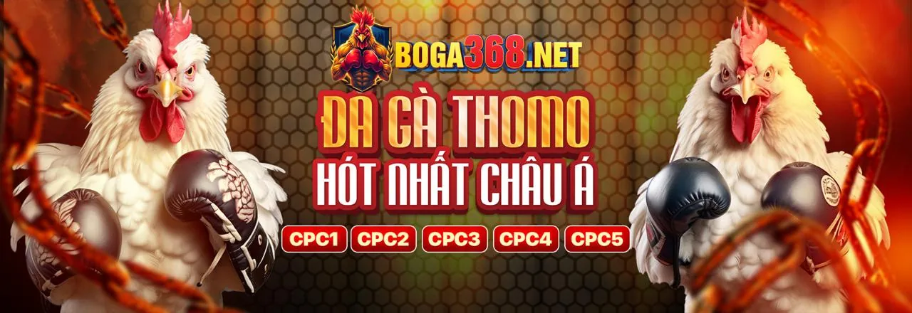 Đá Gà Trực Tuyến 58win1 Kịch Tính